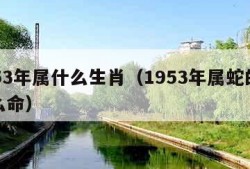 1953年属什么生肖（1953年属蛇的是什么命）