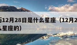 新历12月28日是什么星座（12月28是什么星座的）