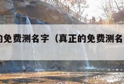 真正的免费测名字（真正的免费测名字2023）