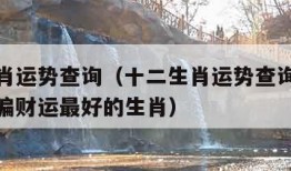 十二生肖运势查询（十二生肖运势查询每日更新明日偏财运最好的生肖）