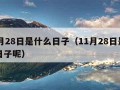 11月28日是什么日子（11月28日是什么日子呢）