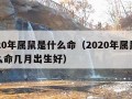 2020年属鼠是什么命（2020年属鼠是什么命几月出生好）