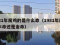 1981年属鸡的是什么命（1981年属鸡是木命还是金命）