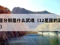 12星座分别是什么武魂（12星座的武魂是什么?）