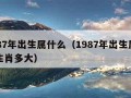 1987年出生属什么（1987年出生属什么生肖多大）