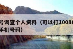 手机号调查个人资料（可以打10086查询别人手机号码）