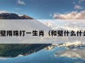 和璧隋珠打一生肖（和璧什么什么）