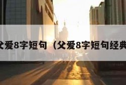 父爱8字短句（父爱8字短句经典）