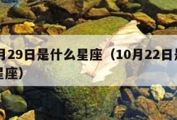 10月29日是什么星座（10月22日是什么星座）