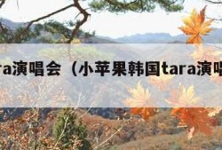 tara演唱会（小苹果韩国tara演唱会）