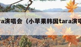 tara演唱会（小苹果韩国tara演唱会）