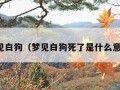 梦见白狗（梦见白狗死了是什么意思）