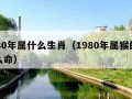 1980年属什么生肖（1980年属猴的是什么命）