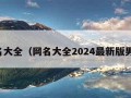 网名大全（网名大全2024最新版男生）