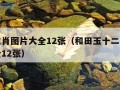 十二生肖图片大全12张（和田玉十二生肖图片大全12张）