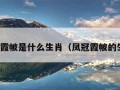 凤冠霞帔是什么生肖（凤冠霞帔的生肖）