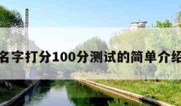 名字打分100分测试的简单介绍