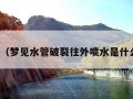 梦见水（梦见水管破裂往外喷水是什么预兆）