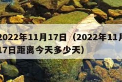 2022年11月17日（2022年11月17日距离今天多少天）