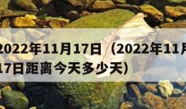 2022年11月17日（2022年11月17日距离今天多少天）