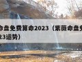 紫薇命盘免费算命2023（紫薇命盘免费算命2023运势）