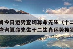 十二生肖今日运势查询算命先生（十二生肖今日运势查询算命先生十二生肖运势搜狐网）