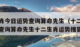 十二生肖今日运势查询算命先生（十二生肖今日运势查询算命先生十二生肖运势搜狐网）