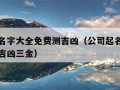 公司起名字大全免费测吉凶（公司起名字大全免费测吉凶三金）