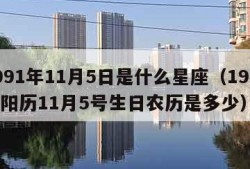 1991年11月5日是什么星座（1991年阳历11月5号生日农历是多少）