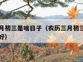 农历三月初三是啥日子（农历三月初三出生的人好不好）