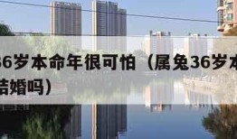 属兔36岁本命年很可怕（属兔36岁本命年可以结婚吗）