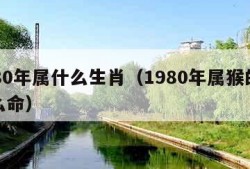 1980年属什么生肖（1980年属猴的是什么命）