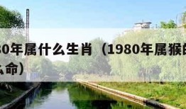 1980年属什么生肖（1980年属猴的是什么命）