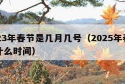 2023年春节是几月几号（2025年春节是什么时间）