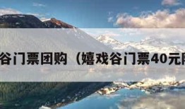 嬉戏谷门票团购（嬉戏谷门票40元限购）