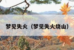 梦见失火（梦见失火烧山）