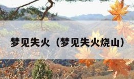 梦见失火（梦见失火烧山）