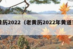 老黄历2022（老黄历2022年黄道吉日）