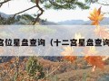 十二宫位星盘查询（十二宫星盘查询正版）