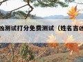 姓名吉凶测试打分免费测试（姓名吉凶查询打分测试）