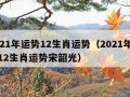 2021年运势12生肖运势（2021年运势12生肖运势宋韶光）