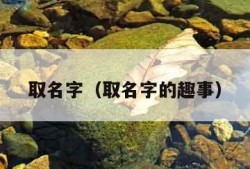 取名字（取名字的趣事）