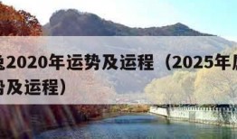 属兔2020年运势及运程（2025年属兔运势及运程）