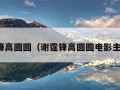 谢霆锋高圆圆（谢霆锋高圆圆电影主题曲）