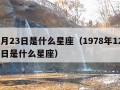 12月23日是什么星座（1978年12月23日是什么星座）