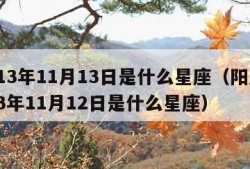 2013年11月13日是什么星座（阳历2013年11月12日是什么星座）