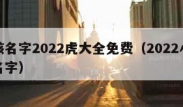 小孩名字2022虎大全免费（2022小孩子名字）