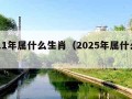 2011年属什么生肖（2025年属什么生肖）