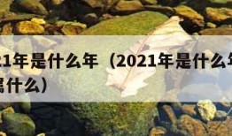 2021年是什么年（2021年是什么年五行属什么）