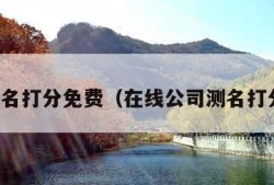 公司测名打分免费（在线公司测名打分免费）